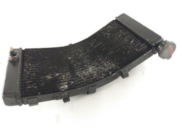 Honda CBR 900 RR SC33 [1996] - Radiator Water Cooler - 0
