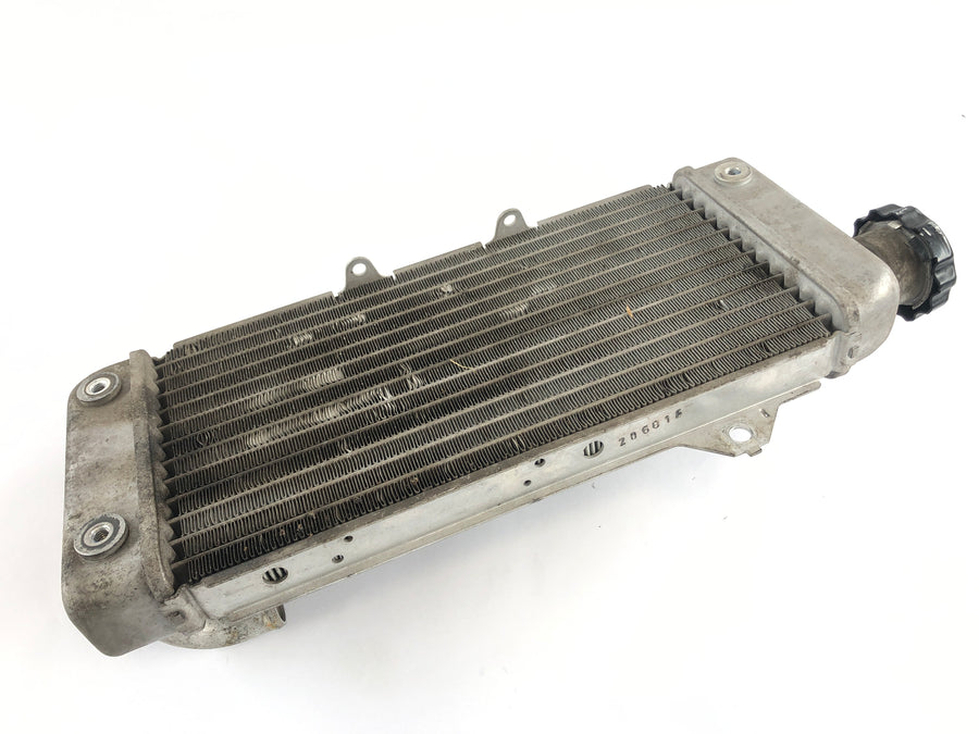 Yamaha WR 125 R DE07 [2016] - Radiator Water Cooler