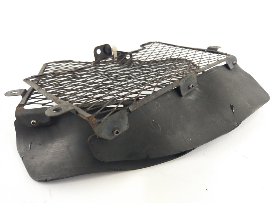 Honda XRV Africa Twin 750 Rd07 [1997] - Grille di raffreddamento sul set destro e sinistro