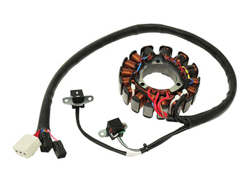 POLARIS 800 ASSAULT RMK [2009-2010] - Statore per Polaris 600/700/800