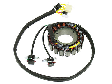 POLARIS 800 SWITCHBACK ASSAULT LE [2011-2012] - Statore per Polaris 600/800