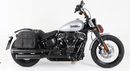 Harley-Davidson Softail Standard [2020-2025]-C-Bow side carrier-7