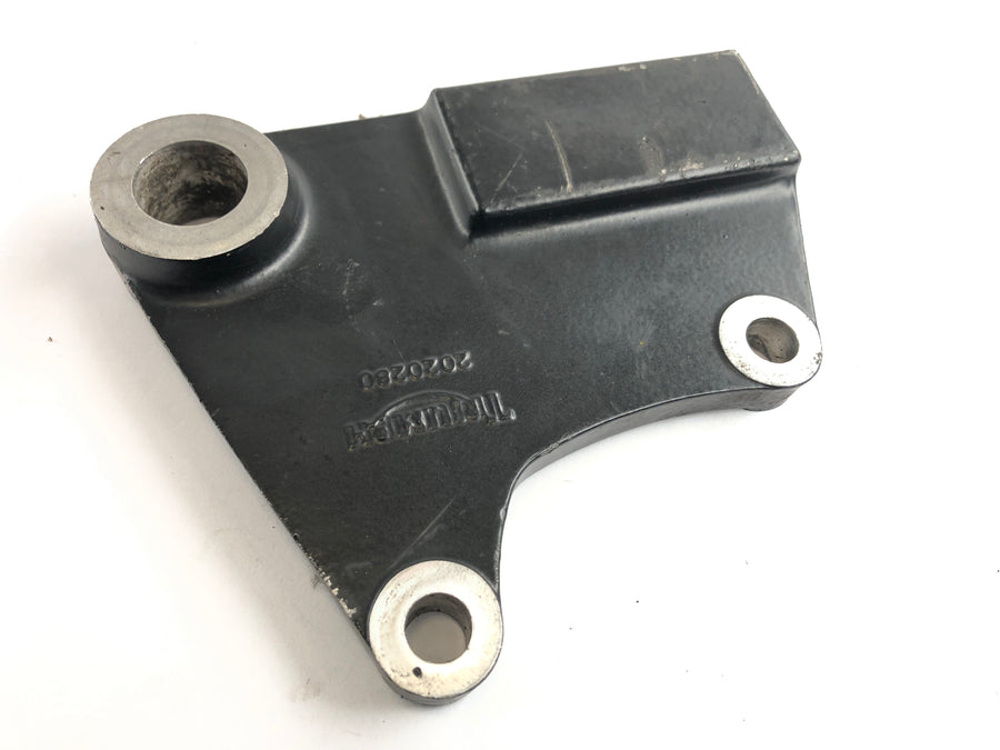 Triumph Sprint 955i RS T695 [2001] - Plaque d'ancrage de frein