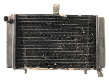 Aprilia RS 125 MPB [2000] - Radiator Water Cooler - 0