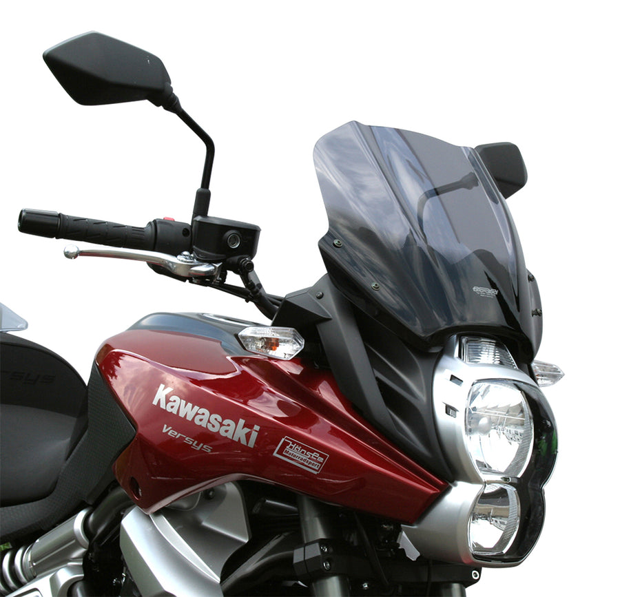 Kawasaki Versys 650 [2010-2014] -Touring Disc "TM"