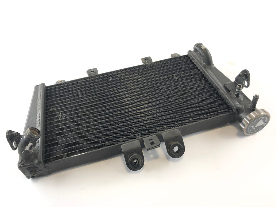 Triumph Speed ​​​​Triple 1050 515NJ [2006] - Radiateur d'eau