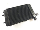 Aprilia RSV 1000 Tuono RP [2005] - Radiateur d'eau-1