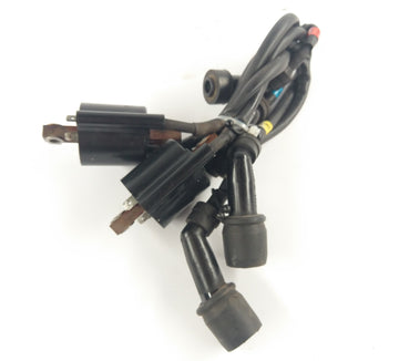 Yamaha XJR 1300 RP10 (2006) - Ignition coils with ignition cable set - 0
