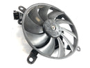 Kawasaki VN 900 Classic [2010] - Fan Fan Fan-2