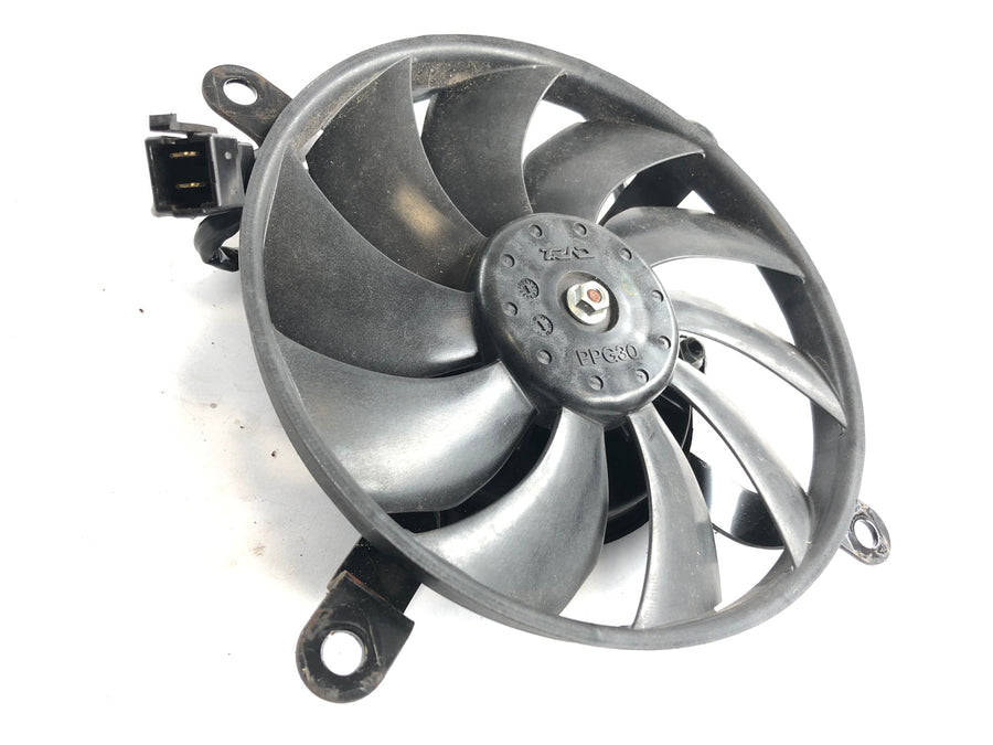 Kawasaki VN 900 Classic [2010] - Fan Fan Fan