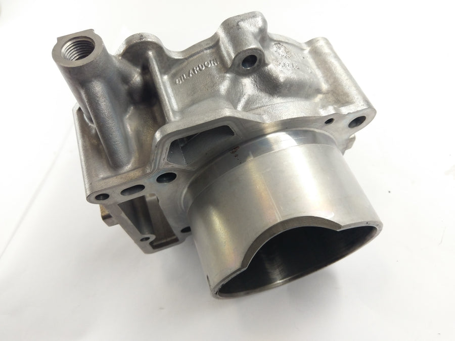 Aprilia RST 1000 Futura [2004] - cylinder with pistons