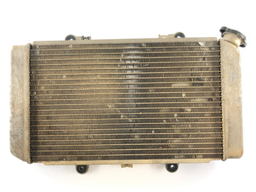 Yamaha Grizzly 660 AM03W [2003] - Radiator Water Cooler