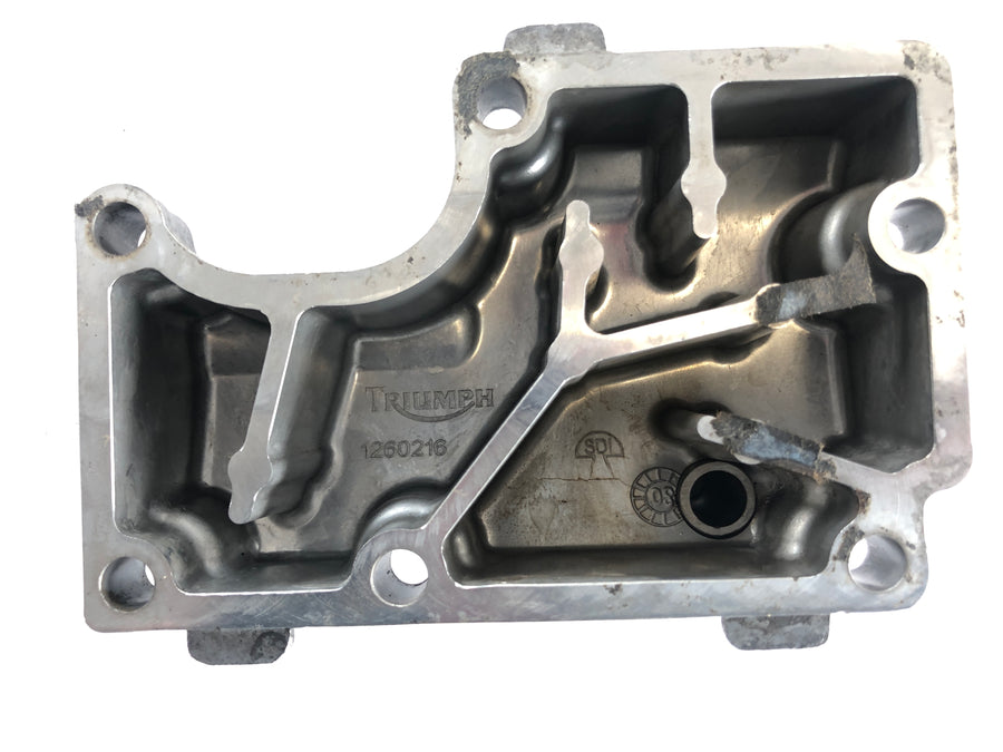 Triumph Street Triple R 675 D67LD [2008] - engine cover 1260216