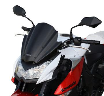 Kawasaki Z 1000 [2010-2013] -Racing Disc "RN"
