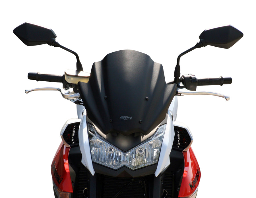 Kawasaki Z 1000 [2010-2013] -Racing Disc "RN"