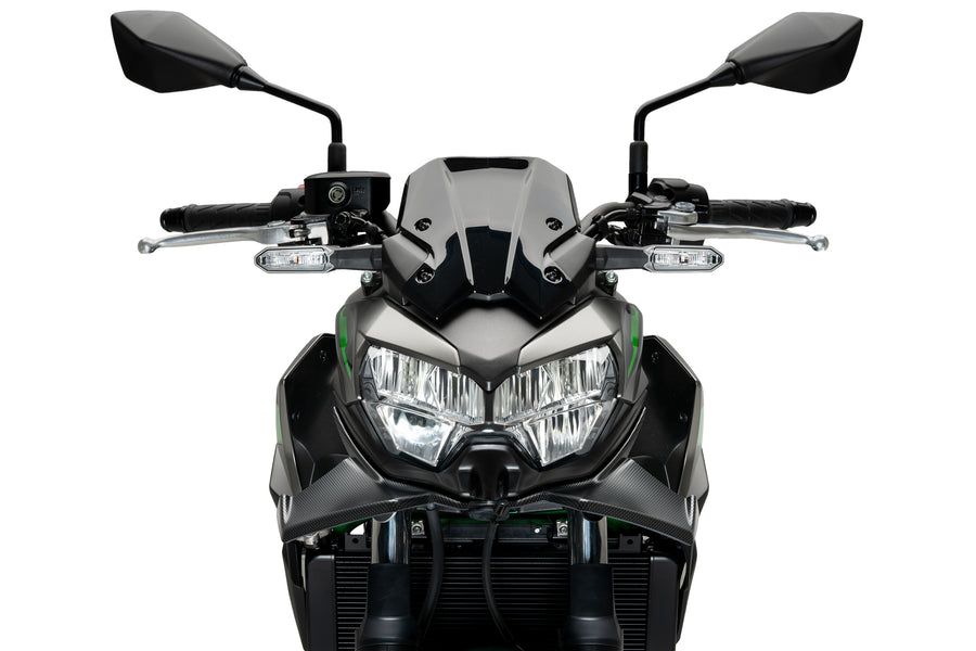 KAWASAKI Z 650 [2025] – Naked Verkleidungsscheibe Windschild Front Spoiler