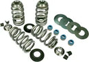 Buell S 1 Lightning [1997, 1999] - Endurance Beehive® valve springs with titanium spring plates - picture 3
