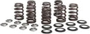 Harley-Davidson FLHTCUTG 1868 Tri Glide Ultra 114 [2024] - Titanium Ventilfederhalter-Kit – Bild 10