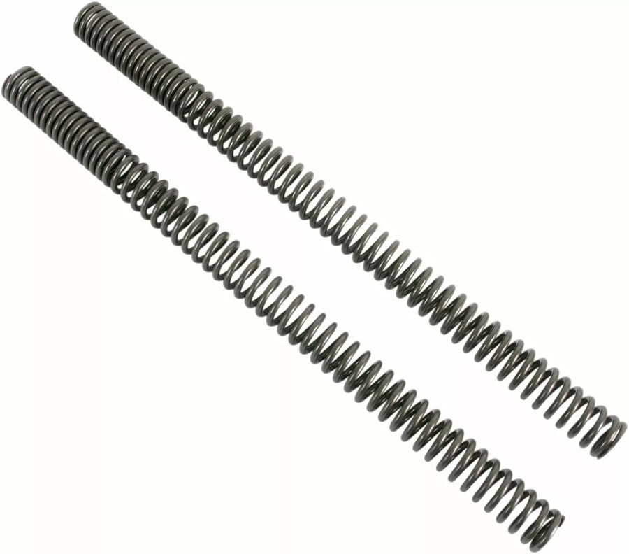 BMW F 650 GS [sospensione progressiva] -Front Sostitucement Fork Springs