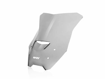 BMW R 1200 R [WRS] - pare-brise