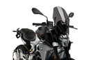 BMW F 900 R [2025] – R-Racer Scheibe – Stark getönt-6
