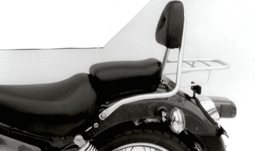 Yamaha XV 125 [1989-2002] - Sissybar mit Gepäckbrücke