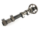 Yamaha XT 1200 Z Super Tenere DP01 [2012] - Albero a camme di uscita dell'albero a camme-5