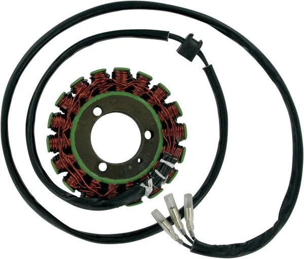 Suzuki GS 1000 [RICK'S MOTORSPORT ELECTRIC] – Stator für Suzuki