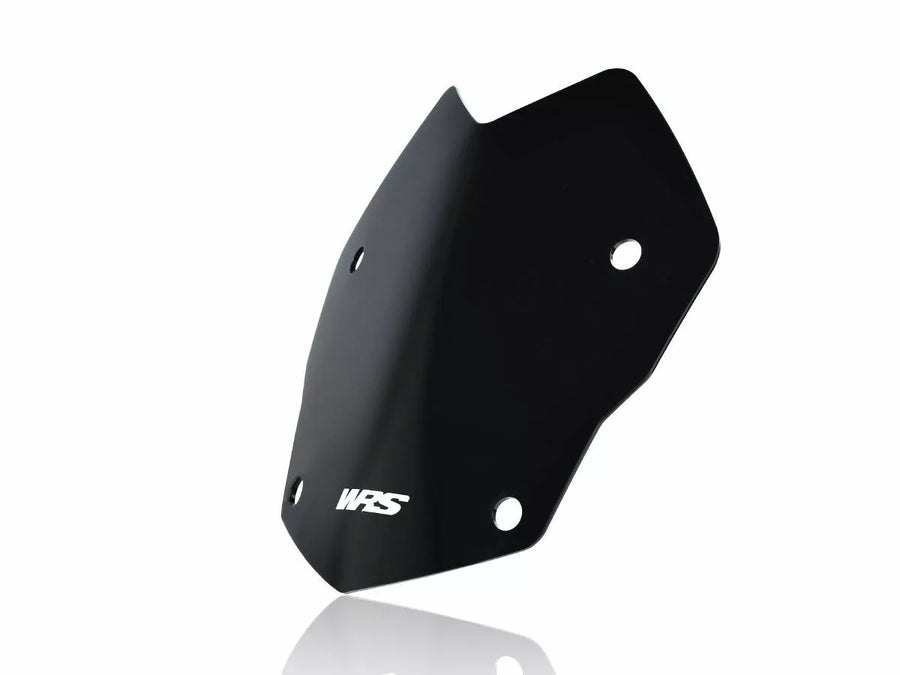 BMW R 1200 R [WRS] - windshield