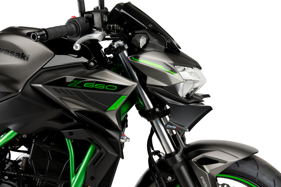 KAWASAKI Z 650 [2025] – Naked Verkleidungsscheibe Windschild Front Spoiler