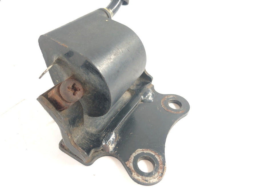Suzuki Dr 800 S Big [1991] - Coil di accensione con candela