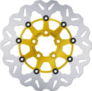 Harley-Davidson XL 1200 R Sportster Roadster [2008] - brake discs - surface: gold, silver - picture 1