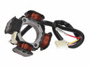 Aprilia Rs 250 [101 Octanne] -Alternator Stores-1