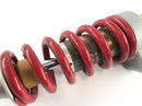 Moto Guzzi 1200 Sport [2007] - Rear shock absorber-4