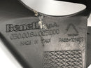 Benelli TNT 1130 [2009] - Rear radiator cover-3