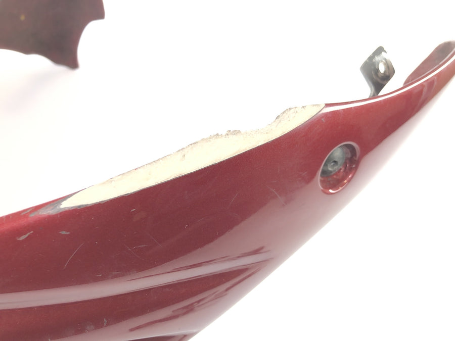 Benelli TNT 1130 [2009] - Spoiler pulpito