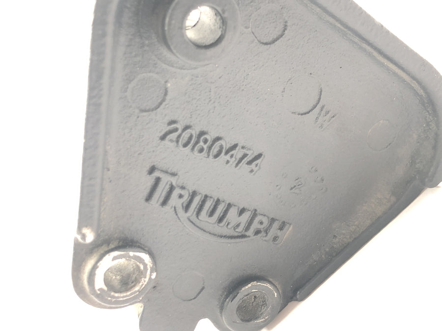 Triumph Tiger 955i 709EN [2003] - Poggiapiedi conducente sinistro con supporto