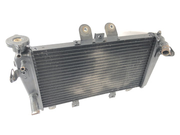 Triumph Speed Triple 1050 515NJ [2007] - Radiator Motorcycle Radiator Heat Exchanger - 0