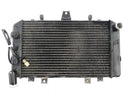 Kawasaki ZRX 1200 S ZRT20A [2001] - Réseau de radiateurs du système de refroidissement du refroidisseur d'eau du radiateur-5