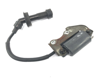 Yamaha XTZ 660 3YF [1992] - Zündspule Zündspulenmodul Zündspuleneinheit mit Stecker