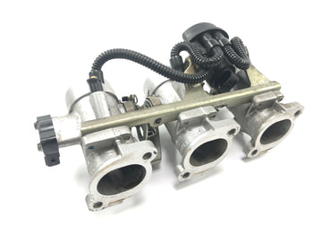 Triumph Tiger 955i 709EN [2003] - Throttle body unit throttle