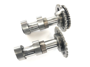 Aprilia RSV 1000 R [2004] - Set albero a camme albero a camme cilindro posteriore