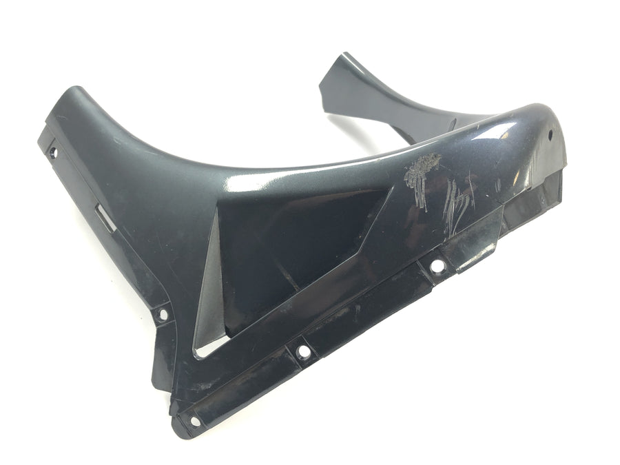 Kawasaki GPZ 1000 RX [1987] - rivestimento anteriore del rivestimento di bug in basso