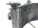 Honda CBR 900 RR Fireblade SC33 [2000] - Radiator water cooler cooling radiator-2