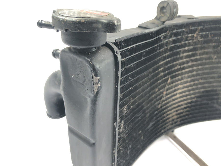 Honda CBR 900 RR Fireblade SC33 [2000] - Radiator water cooler cooling radiator