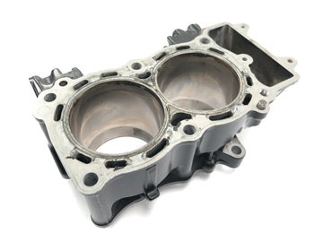 Kawasaki Versys KLE 650 A [2006] - cylinder with piston cylinder block - 0
