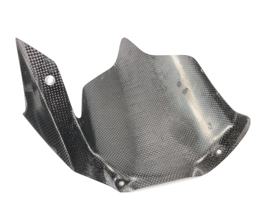 Ducati 999 H4 [2003] - Coperchio posteriore Carbonio