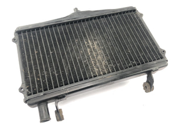 Honda NSR 125 JC20 [1991] - Kühler Wasserkühler Kühlernetz Kühlradiator