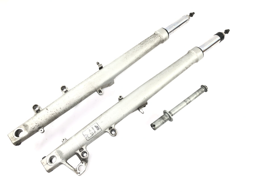 BMW R 1100 RT 259 [1999] - Forcella telescopica Telelever con perno