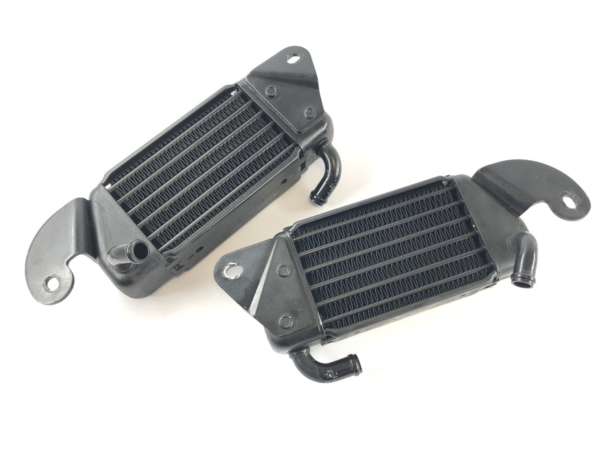 BMW R 1200 C 259C [1997] - Coppia di set di radiatore ad olio